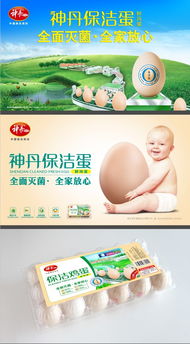 福來品牌營銷策劃 深耕農業全案策劃，賦能農產品品牌價值提升